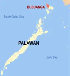 Busuanga (ville)