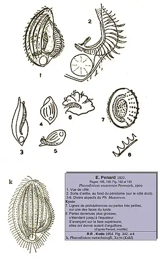 Description de cette image, également commentée ci-après