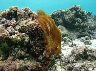 Description de cette image, également commentée ci-après