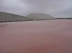 Les salins du midi - Camargue.