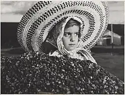 Une jeune agricultrice brésilienne sélectionne les grains de café les plus mûrs