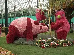Compositions florales durant l'édition 2012 du Lalbagh Flower Show.