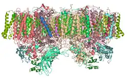 Description de cette image, également commentée ci-après