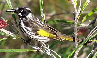 Description de cette image, également commentée ci-après