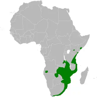 Description de l'image Phyllastrephus terrestris distribution map.png.