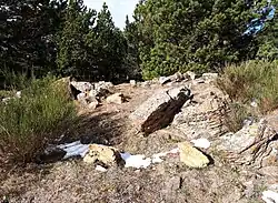 Affleurement de dolomie du Dévonien (c. 400Ma), Pic del Torn.