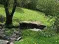 table supposée du dolmen dans le vallon