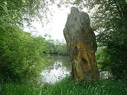 Image illustrative de l’article Pierre de la Joure