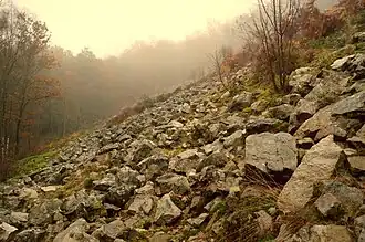 Pierrier constitué par gélifraction.