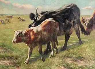 Vaches dans le pré, vers 1900..