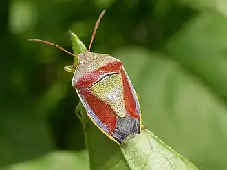 Description de cette image, également commentée ci-après