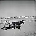 Matériel de transport et de travail agricole aux temps de l'implantation du Kfar, v. 1960