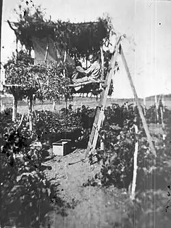 Abri dans le vignoble de Gan-Shmuel (1935)