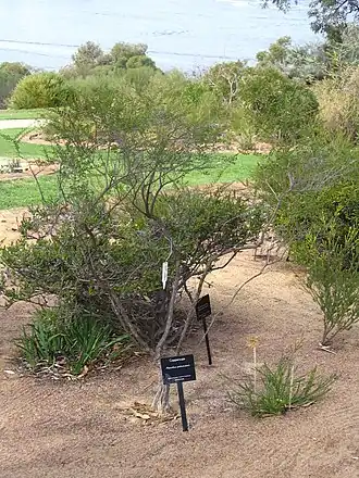 Description de cette image, également commentée ci-après