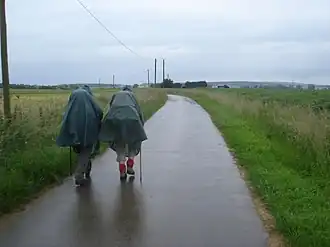 Saint-Martin-des-Champs (Cher)