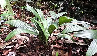 Description de cette image, également commentée ci-après