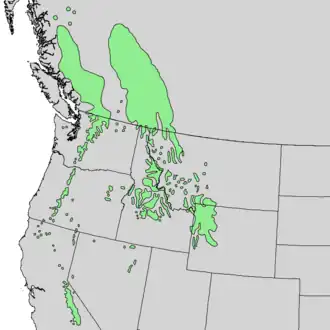 Description de l'image Pinus albicaulis range map 2.png.