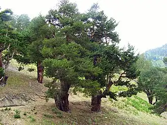 Description de cette image, également commentée ci-après