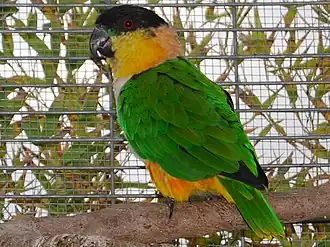 Description de cette image, également commentée ci-après