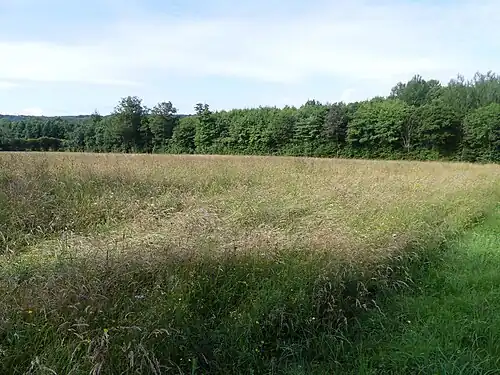 La partie orientale.