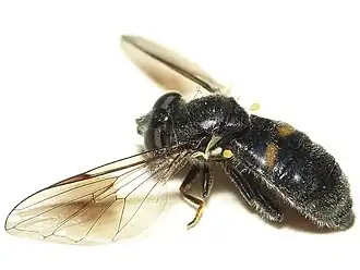 Description de cette image, également commentée ci-après