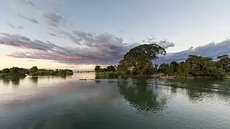 Pirogue filant sur le Mékong devant une île hébergeant un Samanea saman (arbre à pluie) et d'autres arbres, au coucher du Soleil avec des nuages roses, vus depuis Don Det, Si Phan Don (Laos).