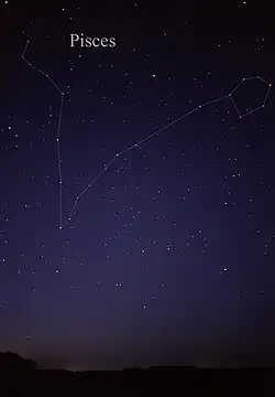 Étoiles sur fond d'un ciel nocturne accompagnés de traits indiquant la constellation du Poisson ainsi que son nom anglais en lettres blanches, « Pisces ».