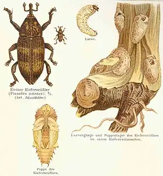 Description de cette image, également commentée ci-après