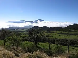 Piton des neiges vu de la plaine des Cafres.