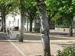 Photographie en couleurs d'une place ombragée avec des bancs.