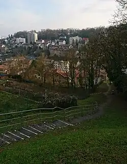 Descente parle chemin des Sifflets