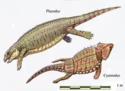 Placodus sp. & Cyamodus sp. (Placodontia) †
