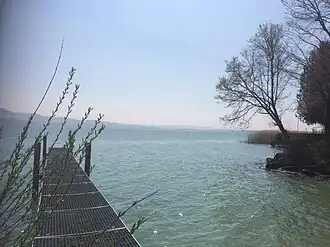 Image illustrative de l’article Grandson–Corcelettes Les Violes