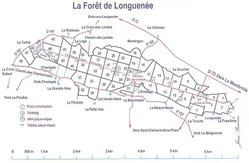 Plan détaillé de la Forêt de Longuenée.