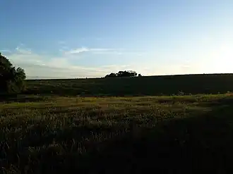 Cruzeiro do Sul (Rio Grande do Sul)