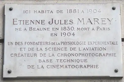 Plaque au no&nbsp;11.