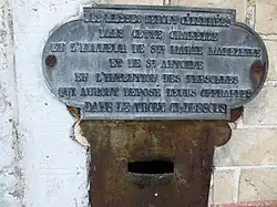 Plaque du tronc.