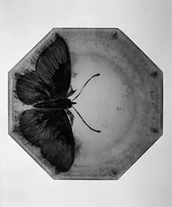 Assiette, MET, vers 1919 –1925.