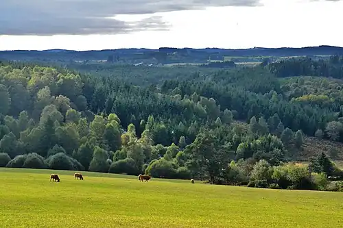 Paysage typique du plateau du XXIe&nbsp;siècle, dominé par la forêt et quelques prés.