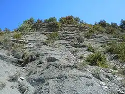 Couches de schistes du Rhétien et de calcaires à ammonites de l'Hettangien