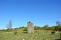 Menhir sur le plateau du Blandas