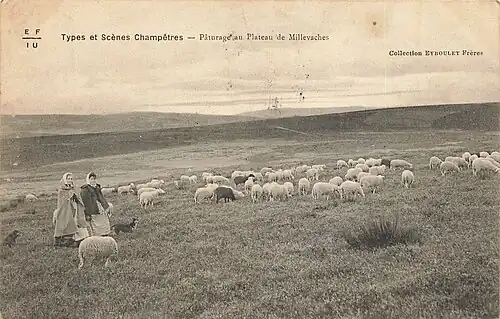Carte postale du plateau de Millevaches au début du XXe&nbsp;siècle, couvert de landes et végétation rase.