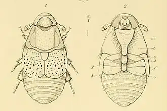 Description de cette image, également commentée ci-après