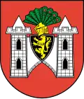 Blason de Plauen