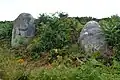 Menhirs n°2 et n°3.