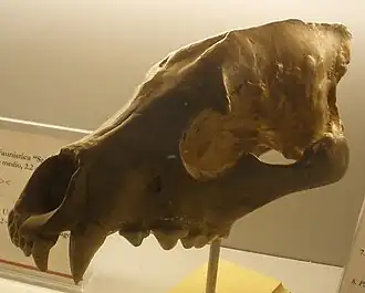 Description de cette image, également commentée ci-après