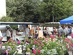 photographie d'une allée du marché de Ploërmel.