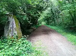 La voie verte liaison GR 34-GR 38 (ancienne voie ferrée de Quimper à Pont-l'Abbé) à hauteur de Kergorentin en Plomelin (vue en direction de Quimper).