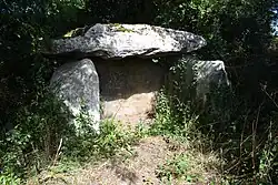 Dolmen de Menez Landu