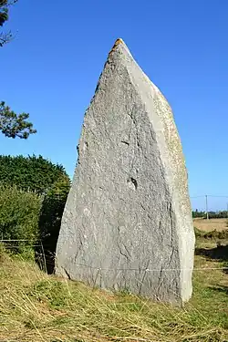 Image illustrative de l’article Menhir de Menoignon